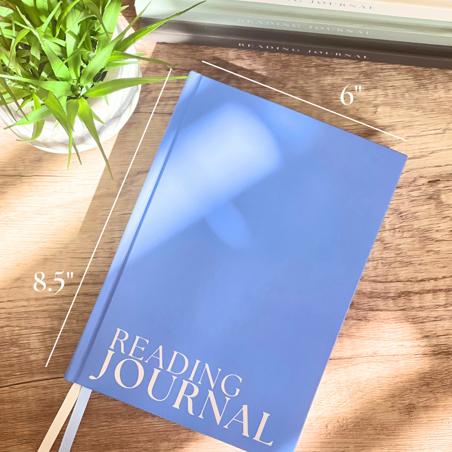 Reading Journals